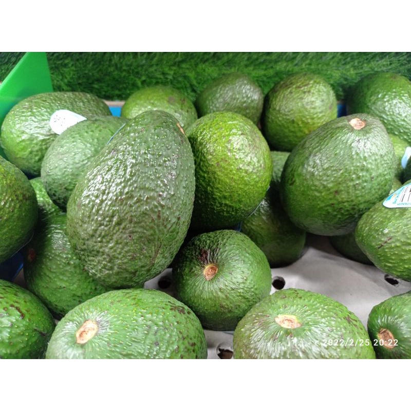 

AVOCADO AUSTRALIA - ALPUKAT AUST PER KG