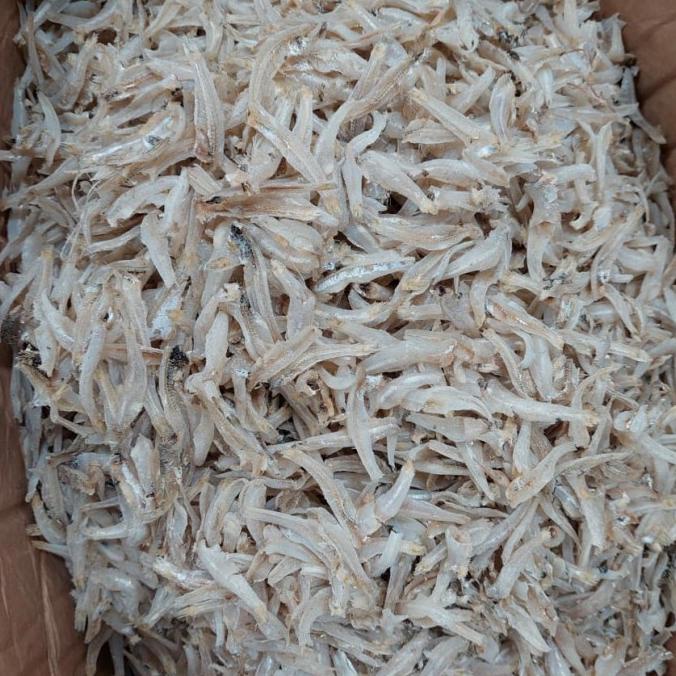 

Teri Jengki Medan Murah1Kg