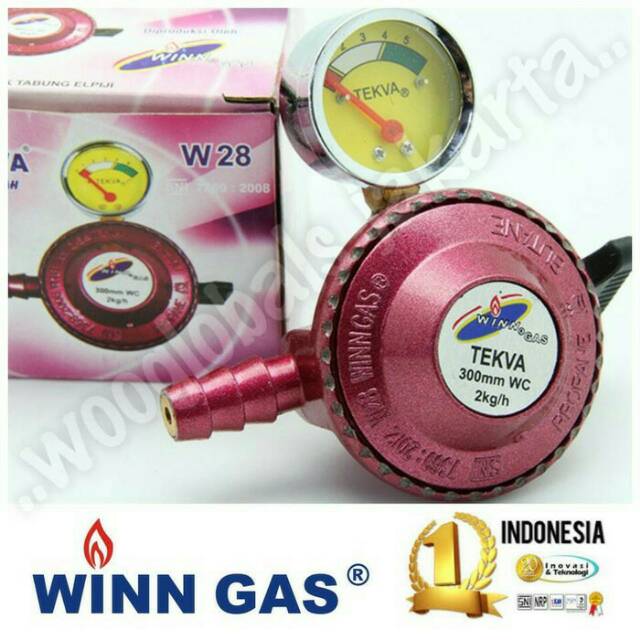 Regulator winn gas