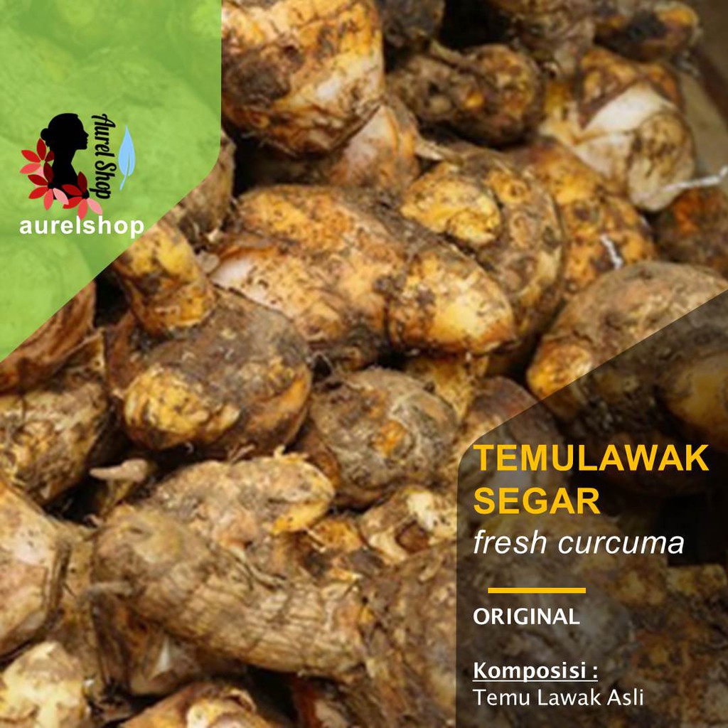 

Temulawak Temu Lawak Segar kemasan 1 kg