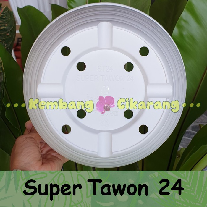 POT SUPER TAWON ST 24 diameter 24cm pot bunga model tawon tebal bagus halus murah grosir