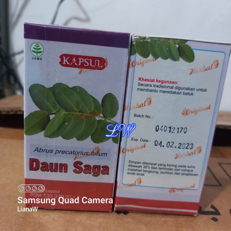 Jual Tazakka Kapsul Daun Saga Obat Radang And Batuk Berdahak Shopee