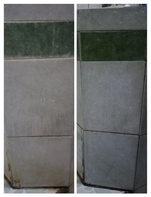 Topron Power Cleaner Pembersih Keramik