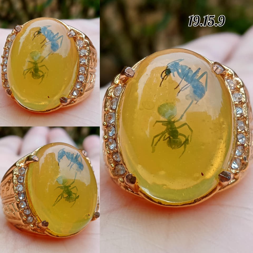 Cincin Amber Katilayu Semut Size Kantoran