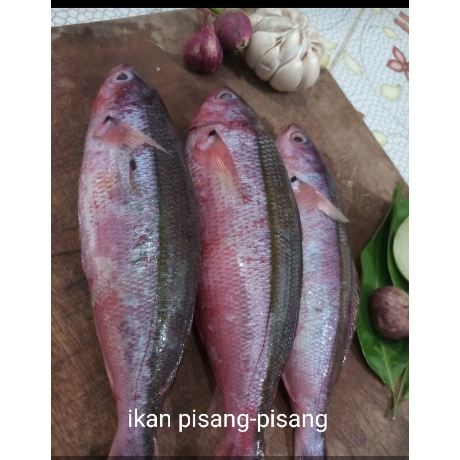 

Ikan pisang