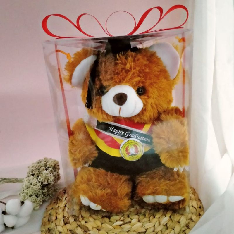 BONEKA WISUDA TEDDY BEAR 30CM + SELEMPANG