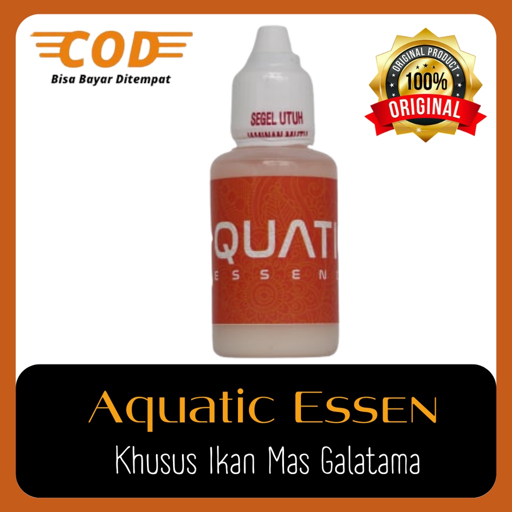Umpan Essen Aquatic Ikan Mas Galatama Paling Ampuh, Aquatic Essen Ikan Mas Galatama, Rahasia Juara M