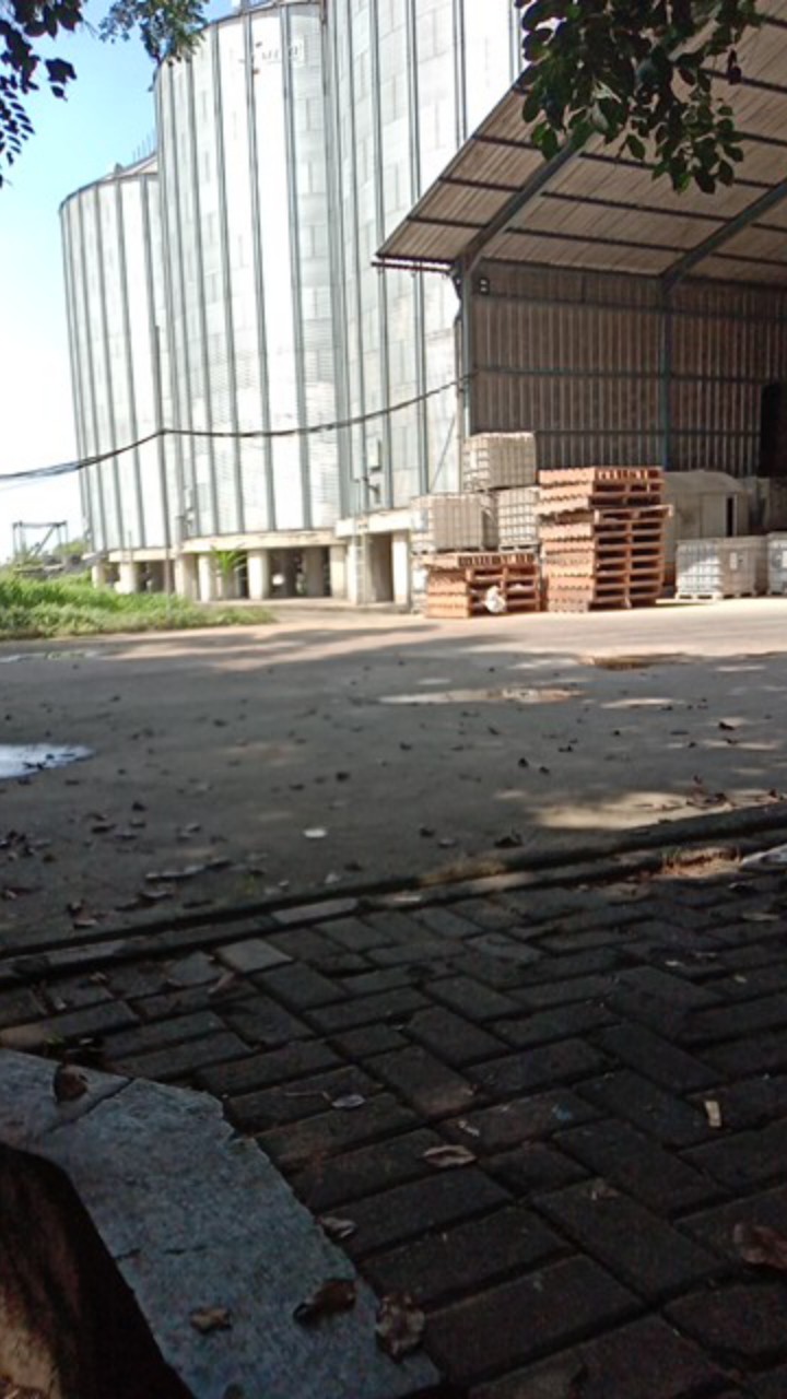 Kunci Pisah Premium L Handle Misah Gagang Pintu Premium Rosette Stainless Sus