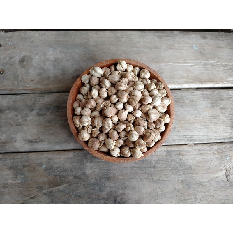 

KAPULAGA KERING/ KAPULAGA JAWA 25g & 50g(jamu,bumbu,