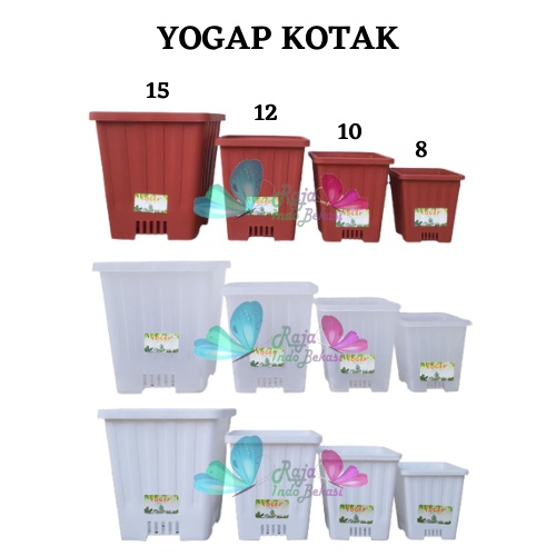 Rajaindobekasi Pot Yogap Kotak 8 10 12 15 Putih Transparan Bening Merah Bata Coklat Terraccota Terakota Orange Pot Segi Empat Hias Pot Yogap 10 13 15 17 18 19 25 30 Pot Yogap Lusinan Pot Kotak Panjang Kecil 8 Cm Tinggi