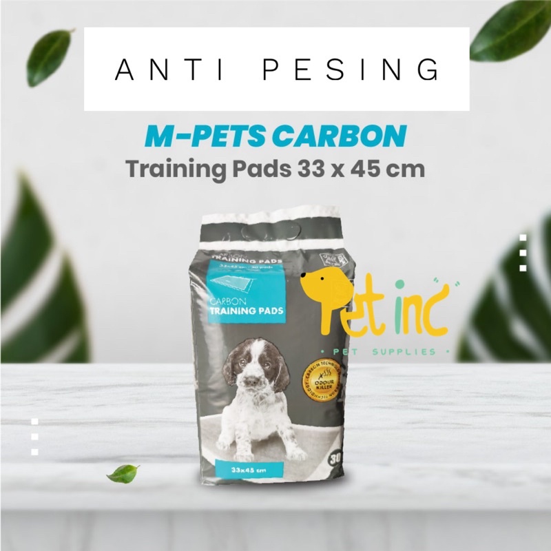 Carbon training pee pad 33x45cm isi 30 lembar