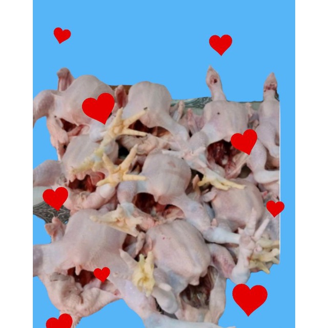 

Ayam negeri 1 kg + ati ampela(.HIDUPNYA), ayam fresh