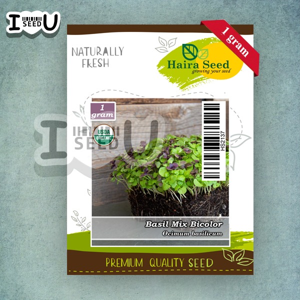 Bibit-Biji Microgreen Basil Bicolor Organik (Haira Seed)