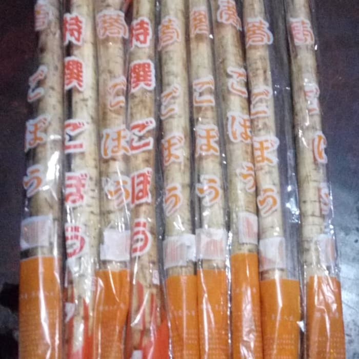 

Tanaman/Tumbuhan/Sayur/Umbi/Ketela Jepang/Gobo/Burdock/Burdoch/Dhubard PROMO