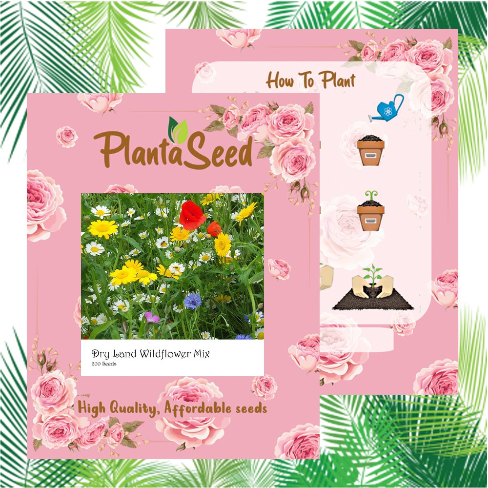 PlantaSeed - 200 Seeds - 20 Jenis Dry Land Wildflower Mix Benih Biji Bunga - PAS0188