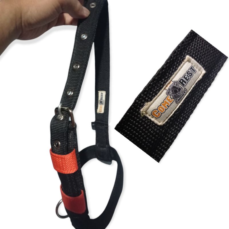 Head Halter Sapi Warna