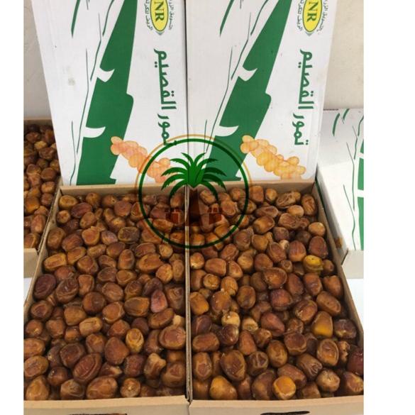 

Pasti Murah RT9 Grosir Kurma Sukari 3kg / Sukary AlQasim / Kurma Raja , Kurma Ruthab Rutob Z42 Serba