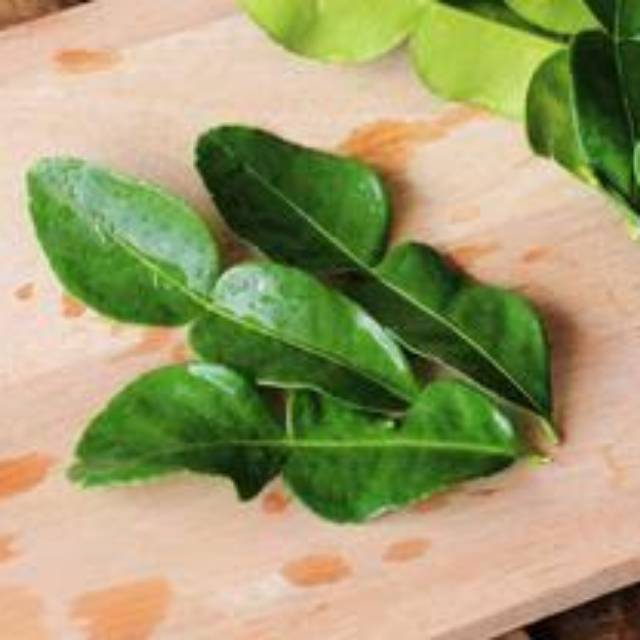 

Daun Jeruk Segar