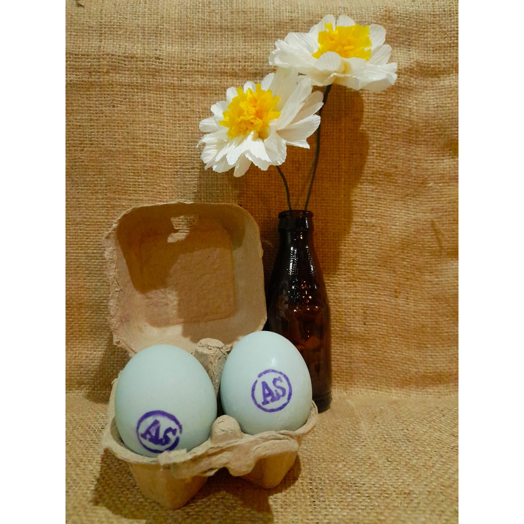 

Telur Asin Bebek Brebes