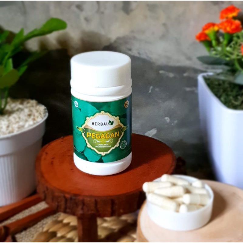Kapsul Pegagan Herbal Ekstrak Daun Pegagan Nutrisi Otak