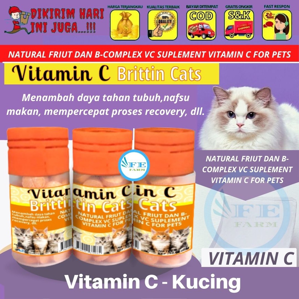 Vitamin C Imun Daya Tahan Tubuh Penambah Nafsu Makan Kucing FEFARM