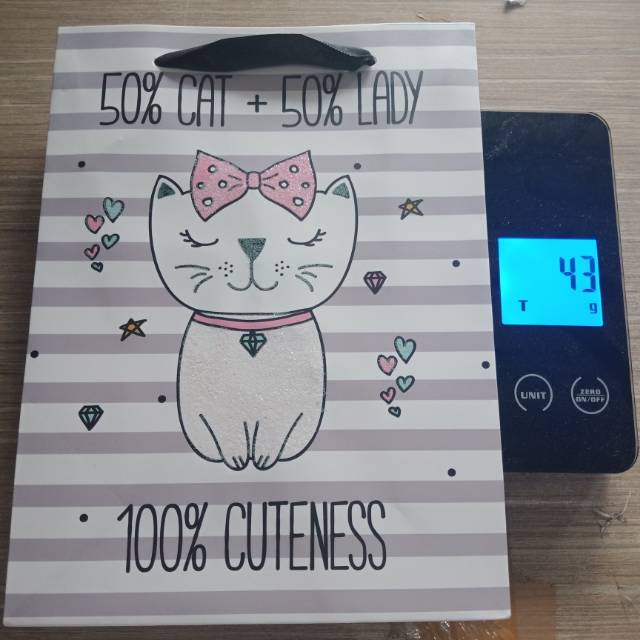 

1 buah Paper bag glitter shopping bag cat cute fancy gambar folio tanggung per pcs - enc.sup
