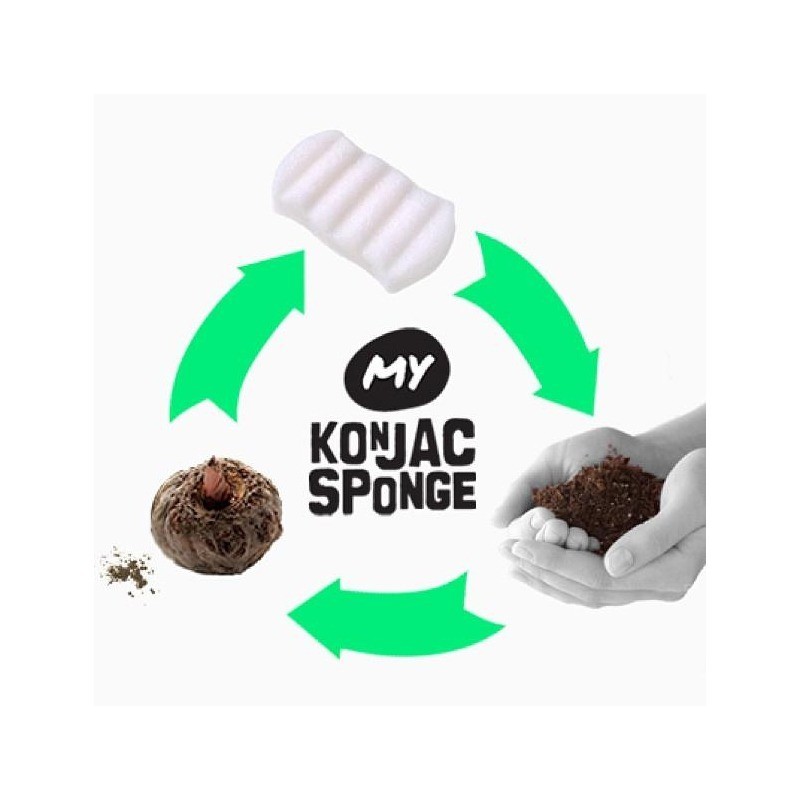 My Konjac Sponge All Natural Facial/Body Sponge