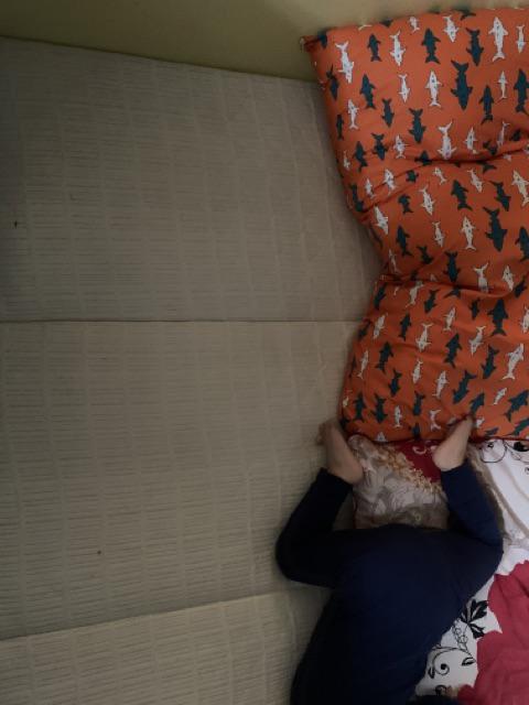 The Luxe Mattress Random Color 4 Folding 70x180cm Waterproof