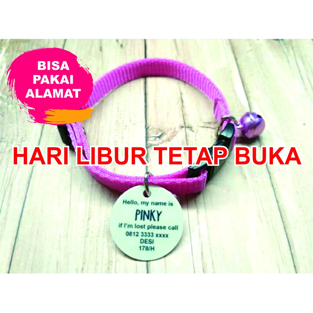CUSTOM PET NECKLACE | Kalung kucing cantik anjing kelinci custom nama dan no hp pemilik