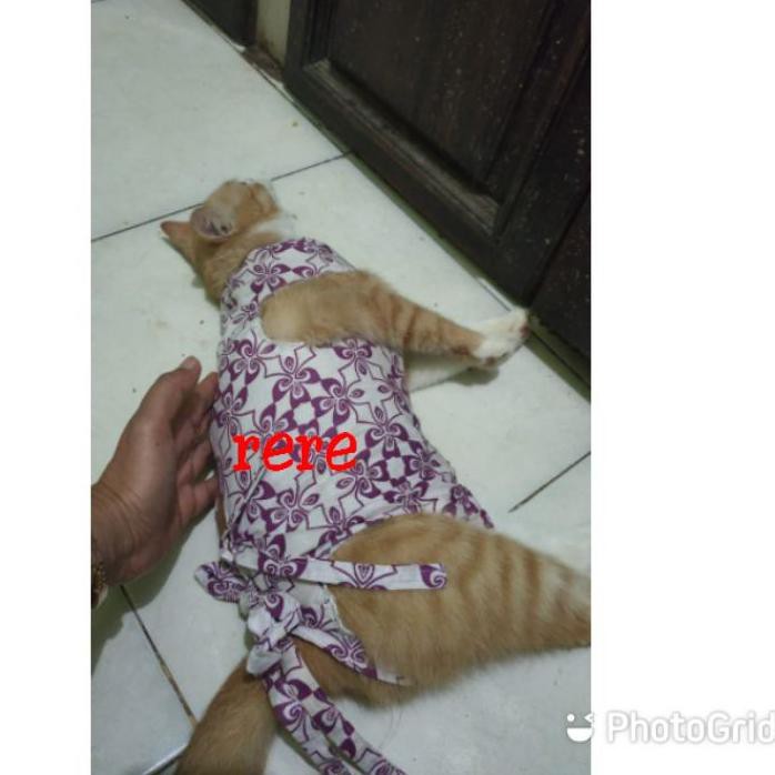 (Terbaik) Baju Kucing Betina Pasca Steril COD