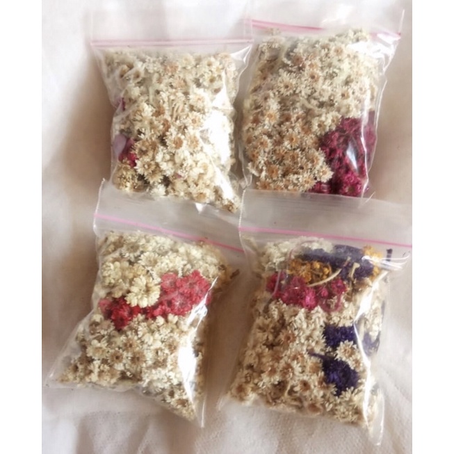 EDEWEIS  SATU PLASTIK KECIL Mini Buket Bunga Edelweis Putih Abadi Hiasan Kamar Buket Bunga Kering De