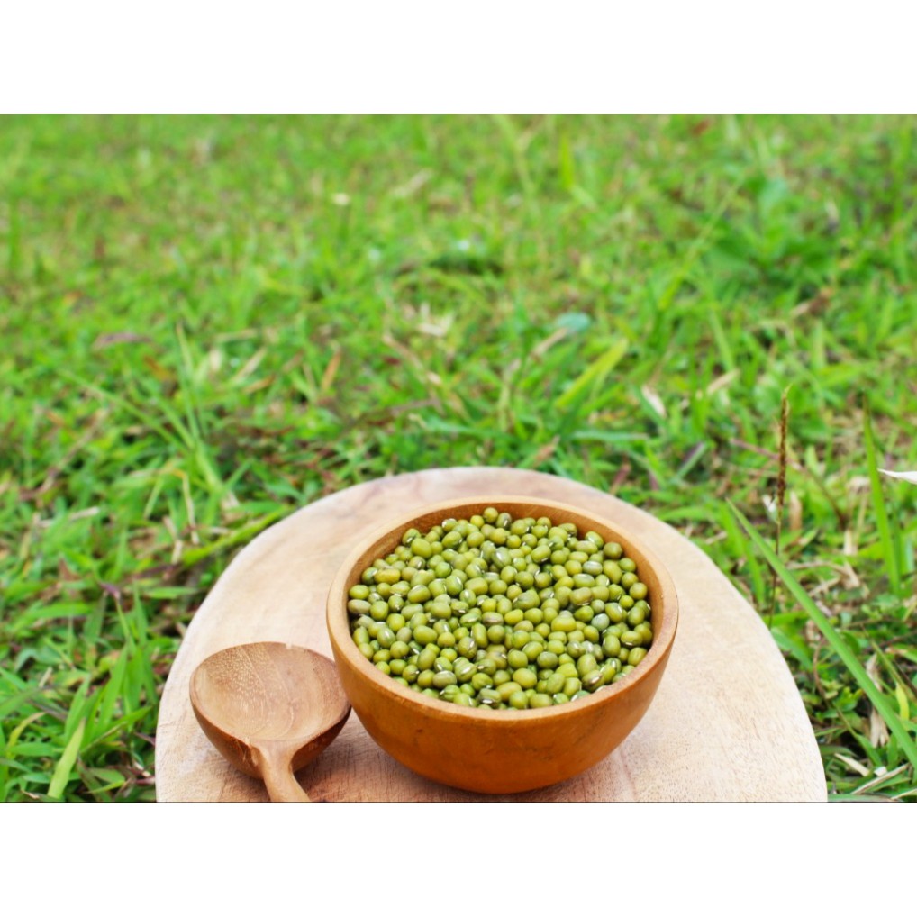 

Natural Mung Bean/ Organik Kacang Hijau 500gr