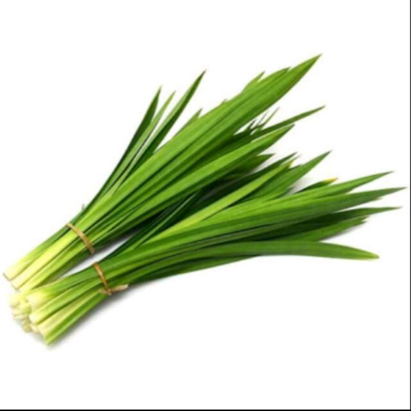 

Daun pandan 1 ikat