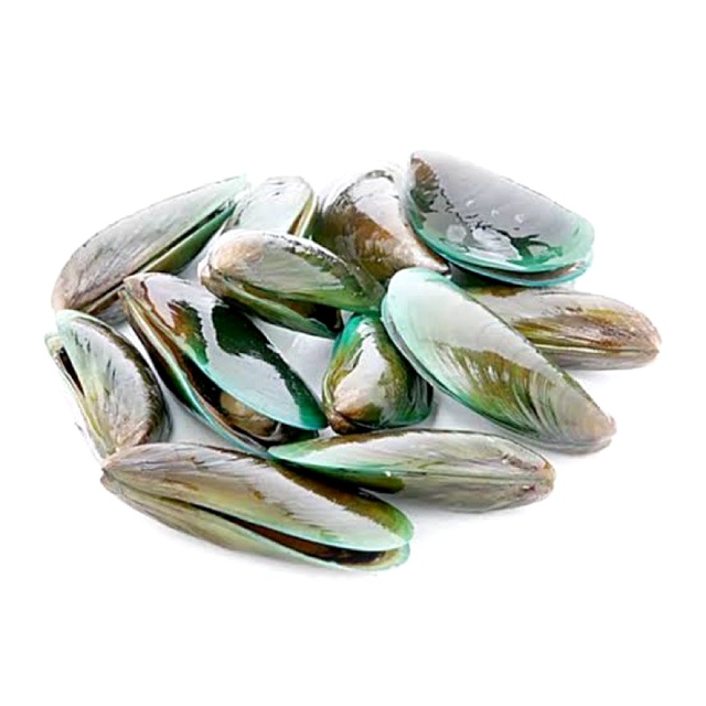 

kerang hijau hidup 1kg/ 1/2kg kerang ijo