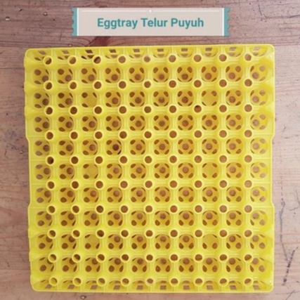 Rak Telur Eggtray Burung Puyuh