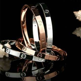 Gelang Bangle TITANIUM ANTI KARAT SELAMANYA PGM GT33