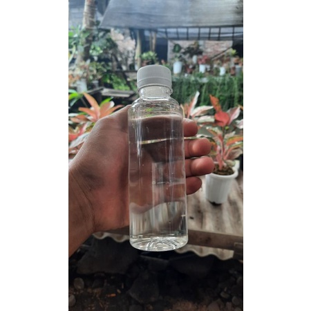 Food Plant (Biozone)