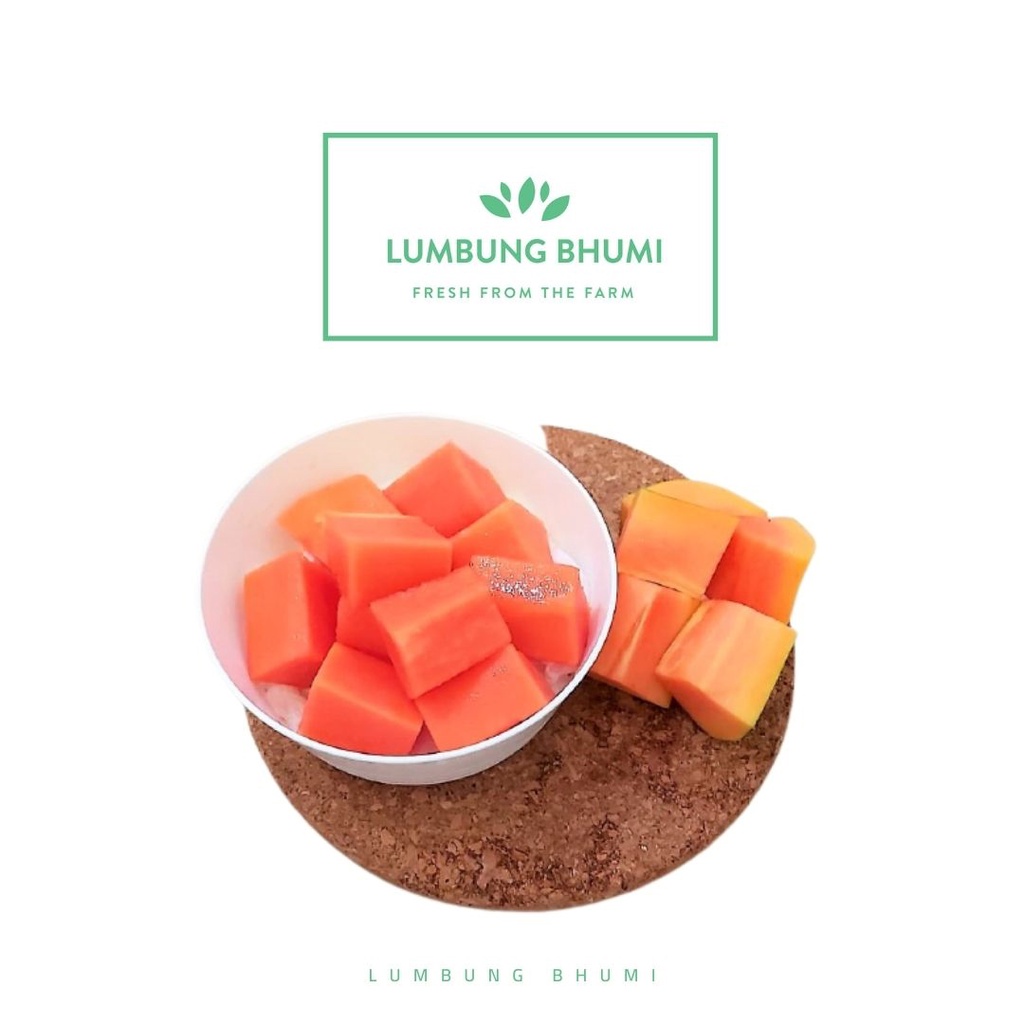 

Lumbung Bhumi - Buah Pepaya POTONG 500 ml ( Juice Your Day )
