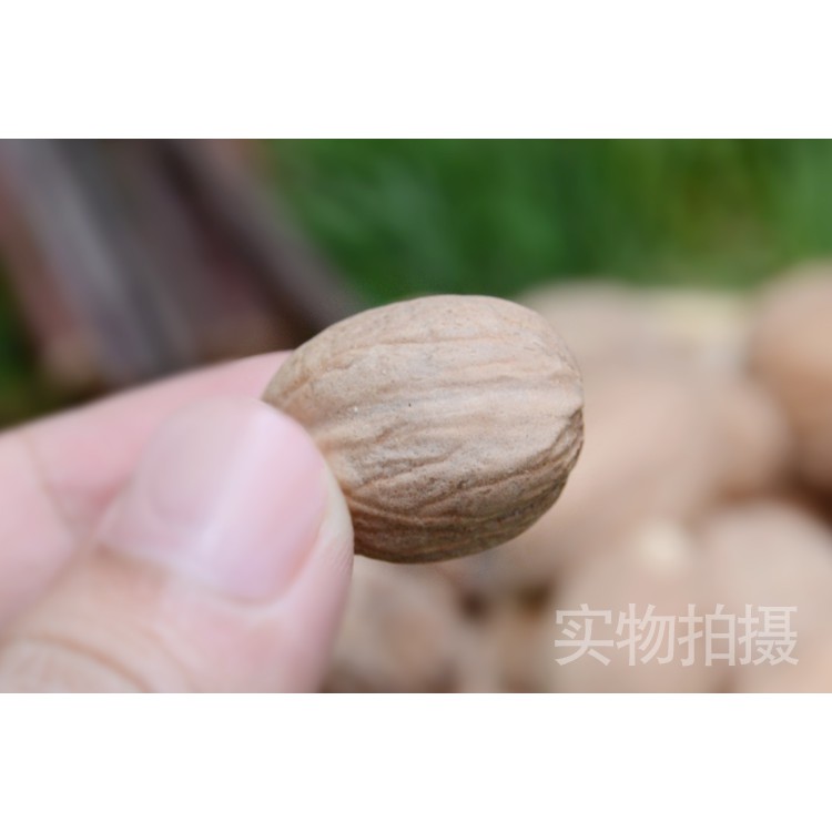Biji Pala Yu Guo Myristica Fragrans 500 g