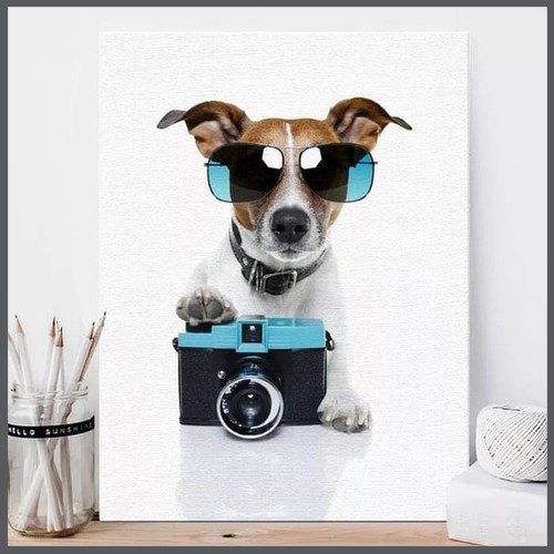 

Terlaris - PUTZIG - 019 Photodoggo 25x30cm