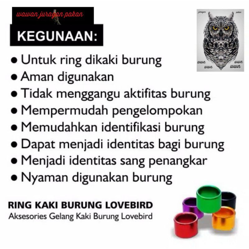 ring burung lovebird