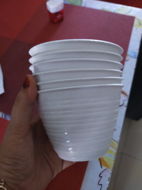 Pot Tawon 10cm Putih Pot Bunga Plastik Lusinan Murah Pot Bunga Murah Grosir Lusinan