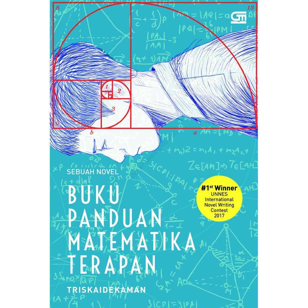 Buku Panduan Matematika Terapan (Sebuah Novel)