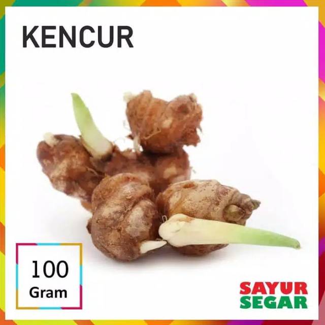 

[sayursegar] KENCUR SEGAR 100Gr untuk sayur dan jamu