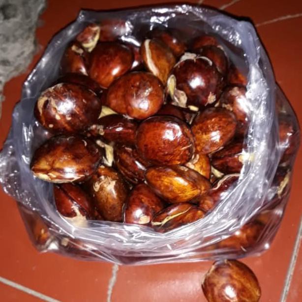 

♥️BISA COD♥️ Jengkol mentah 1kg sayuran buah harga murah