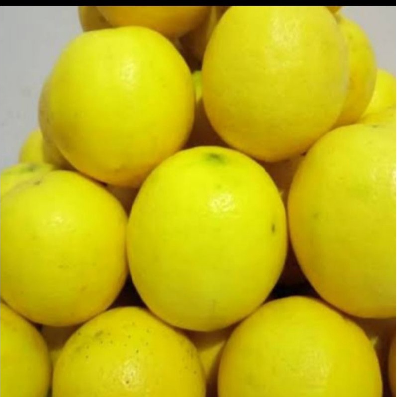 Lemon California Lokal Fresh Segar 500 gram - 1Kg