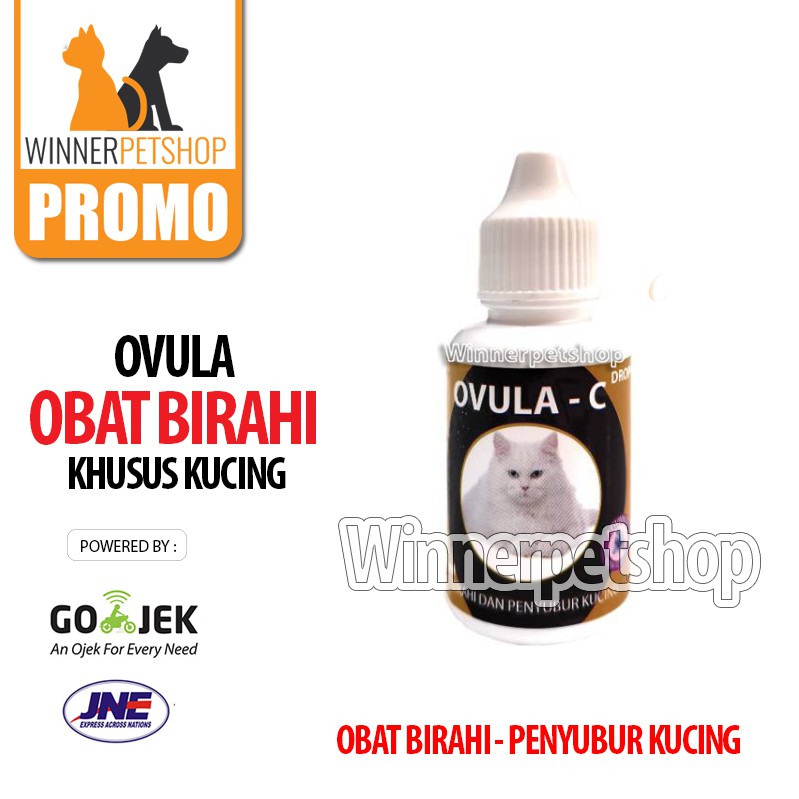 OVULA - OBAT BIRAHI KUCING