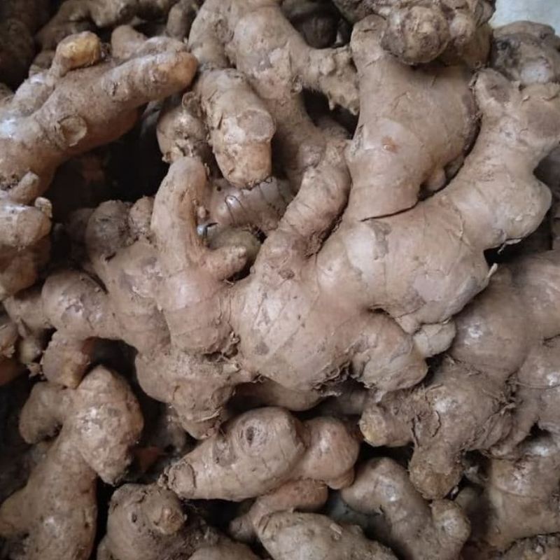 

jahe fresh 500g
