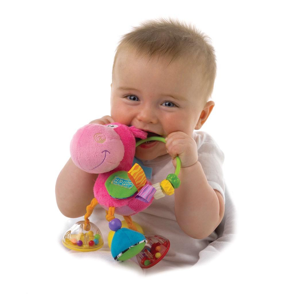 Playgro Clopette Activity Rattle - Mainan Bayi