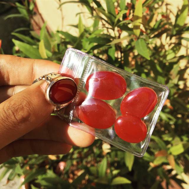 Yaman asli yaman ahmar kabdhi tanpa ikat